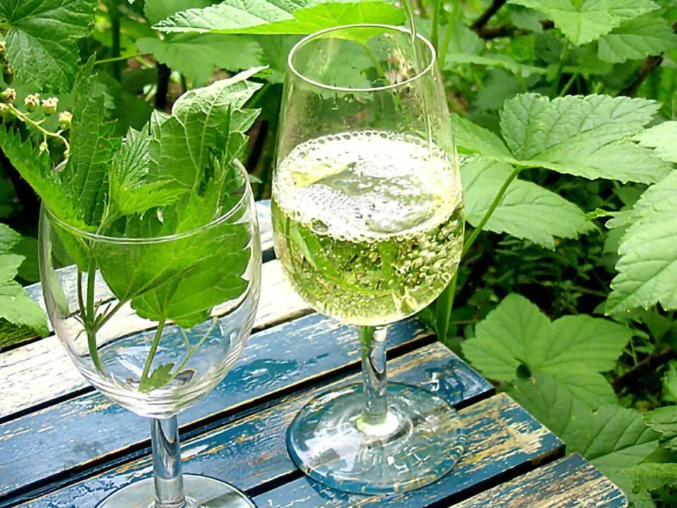 Sauvignon blancin nokkormaiset_aromit