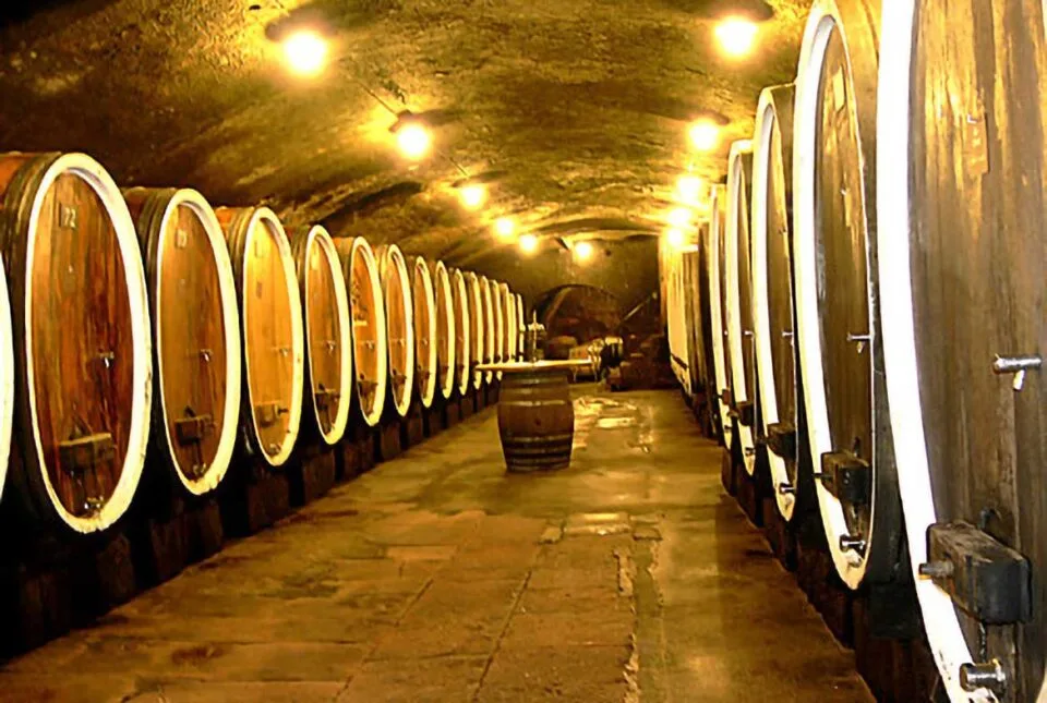Riesling-tynnyrit