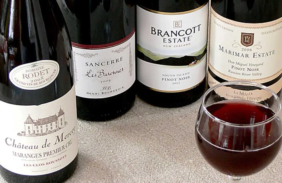 Pinot Noir viinikoulu