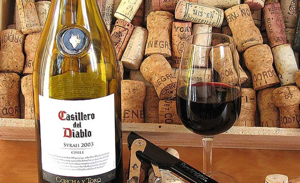 syrah_casillero