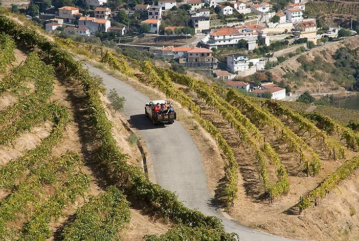 Port wine small and independent producers
