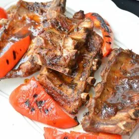 Ribsit_Seta_Samulin_Tapaan