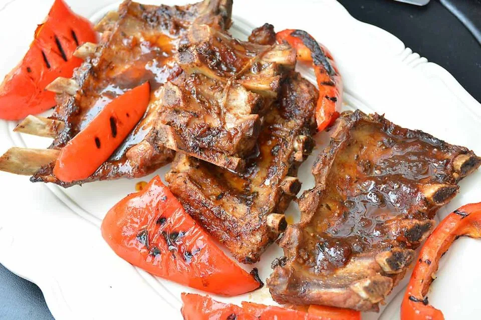 Ribsit_Seta_Samulin_Tapaan