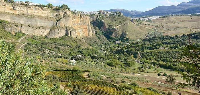 Ronda - Andalusia