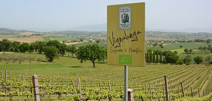 Sagrantino Moretti Omero Vignalunga