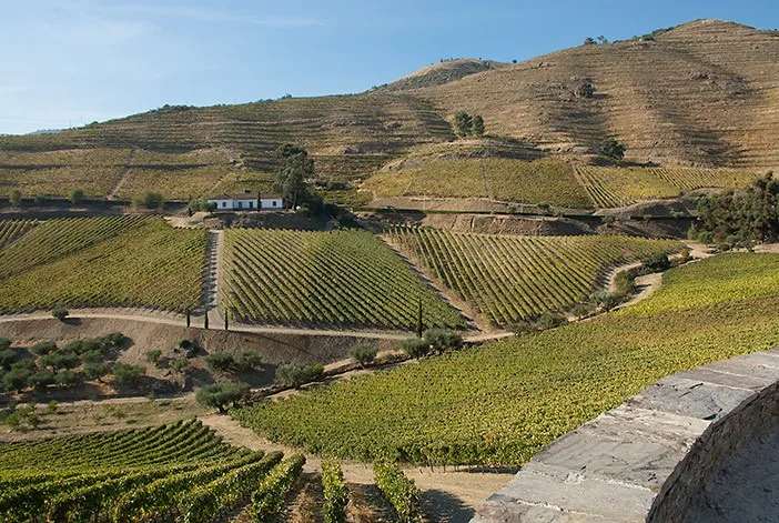 port-wine-small-producers-quinta-do-crasto-1