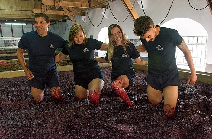 port-vine-growers-quinta-do-crasto-2