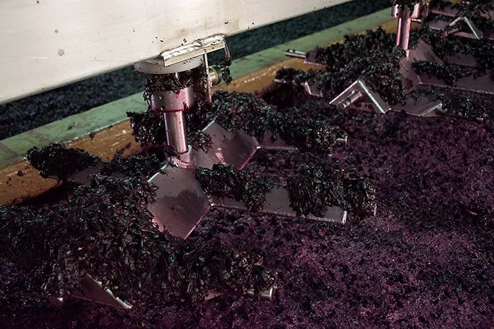 port-wine-small-producers-quinta-do-crasto-4