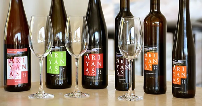 Bodegas Bentomiz viinitasting