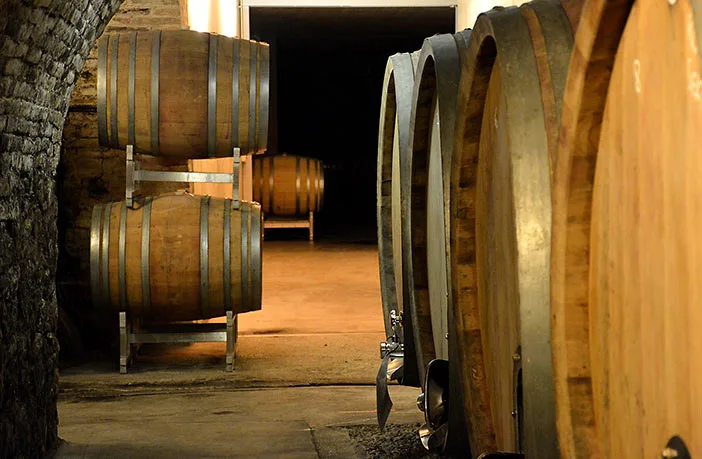 Bründlmayer barrels
