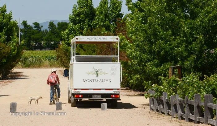 chilen viinit - montes (2)