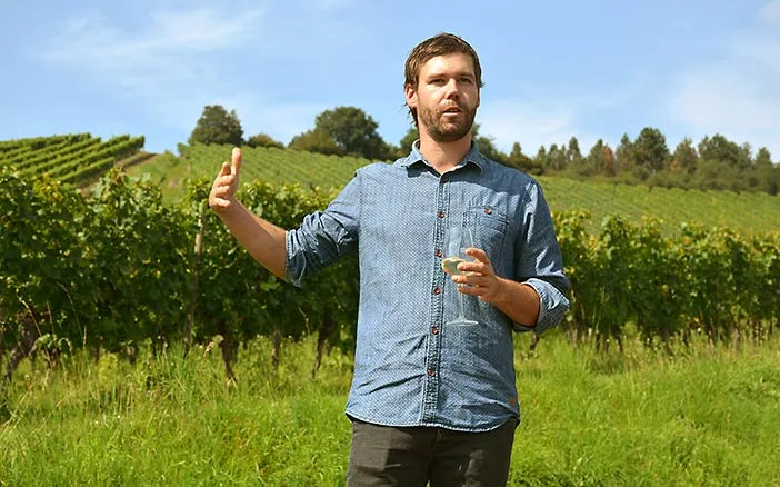 nahen_vines_k_h_schneider_andi