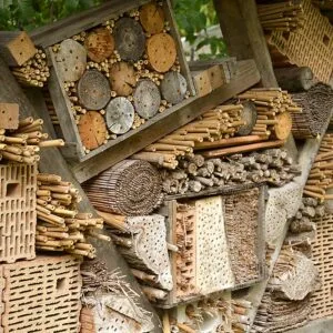 Nahen wines Zwölberich insectary