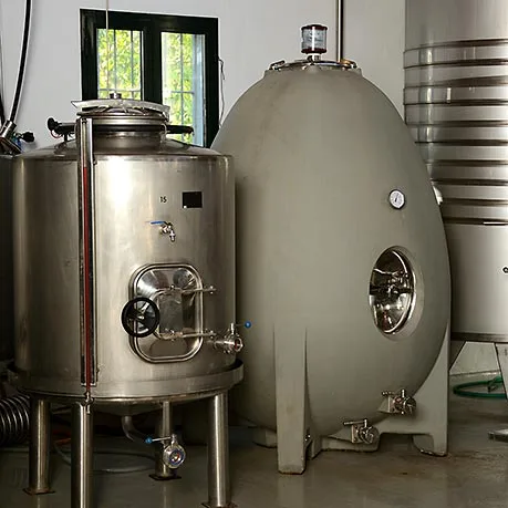 Ronda's wines concrete egg