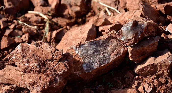 Ronda wines soils