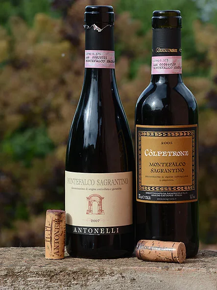 Sagrantino Antonelli ja Colpetrone
