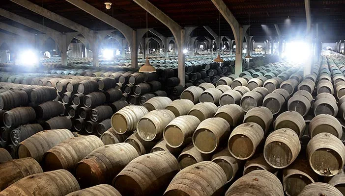 Grupo Estevez's 25,000 barrel basement