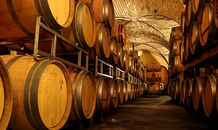 Skoff Original Wine Cellar