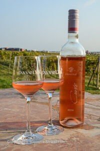 Slovakian viinit Pavelka rosee