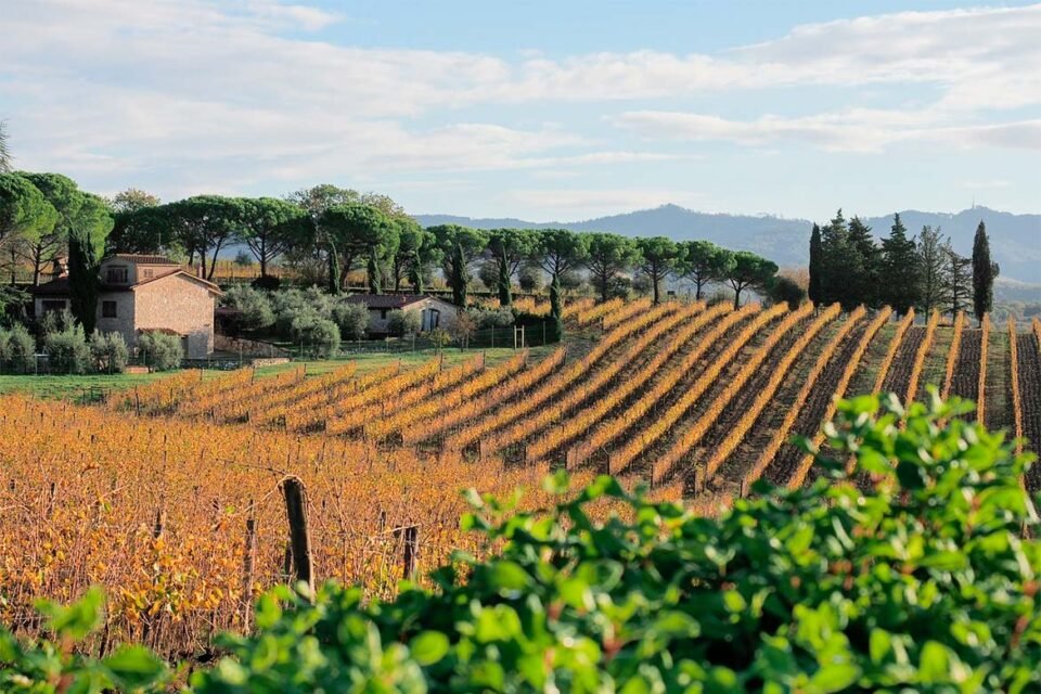 Viinitilalle Italiaan