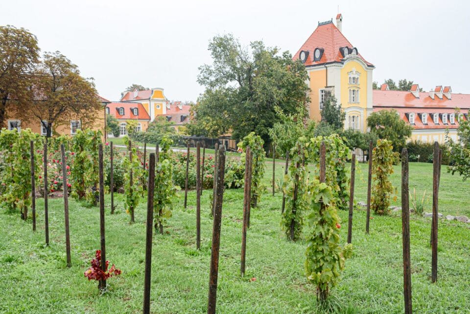 Slovak Wine - Château Belá